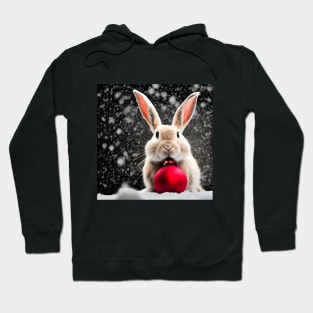 Rabbit and Christmas Ball Hoodie